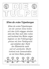Titelseite-Tulpe-Lapbook-1-SW.pdf